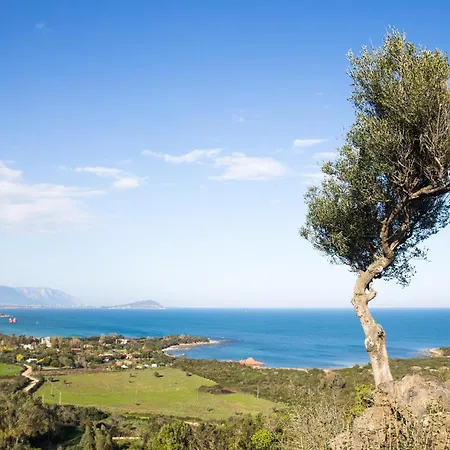 With Pool Apartment Cardedu