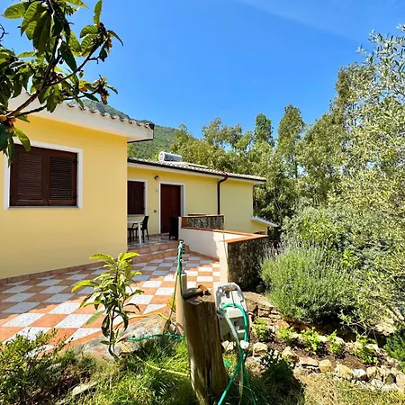 With Pool Appartamento Cardedu