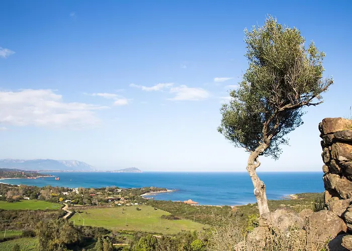 With Pool Appartamento Cardedu